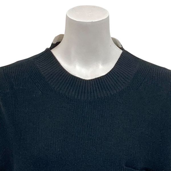 ◇ サカイラック sacai luck バックプリーツブラウス ニットプル