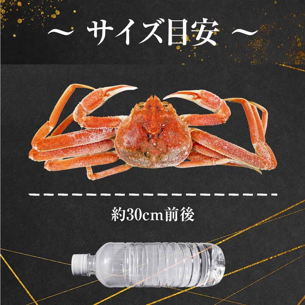 訳あり】北海道産 オオズワイガニ 4杯 約1kg 生冷凍 - メルカリ