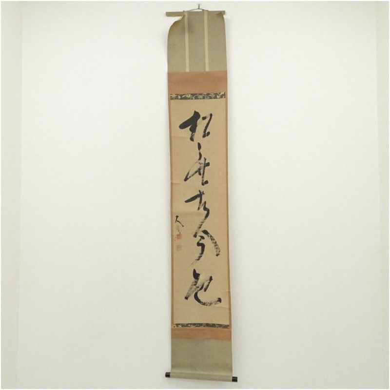 相国寺 大津櫪堂筆 「松無古今色」一行書 肉筆紙本掛軸（共箱） 掛け軸