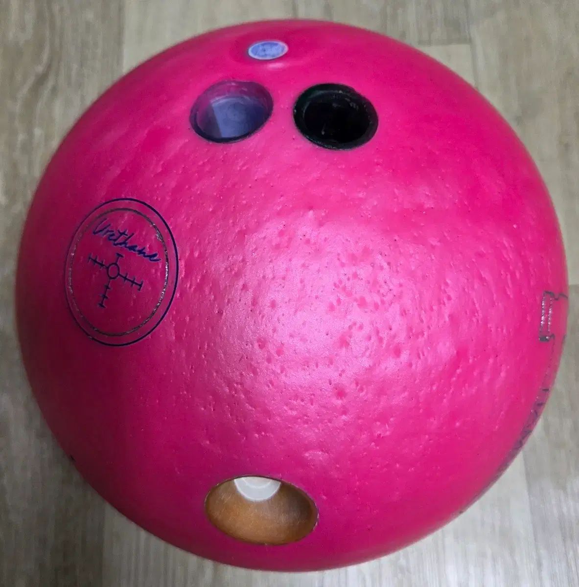 特価)HAMMER(ハンマー) black widow（ブラックウィドウ） ピンク