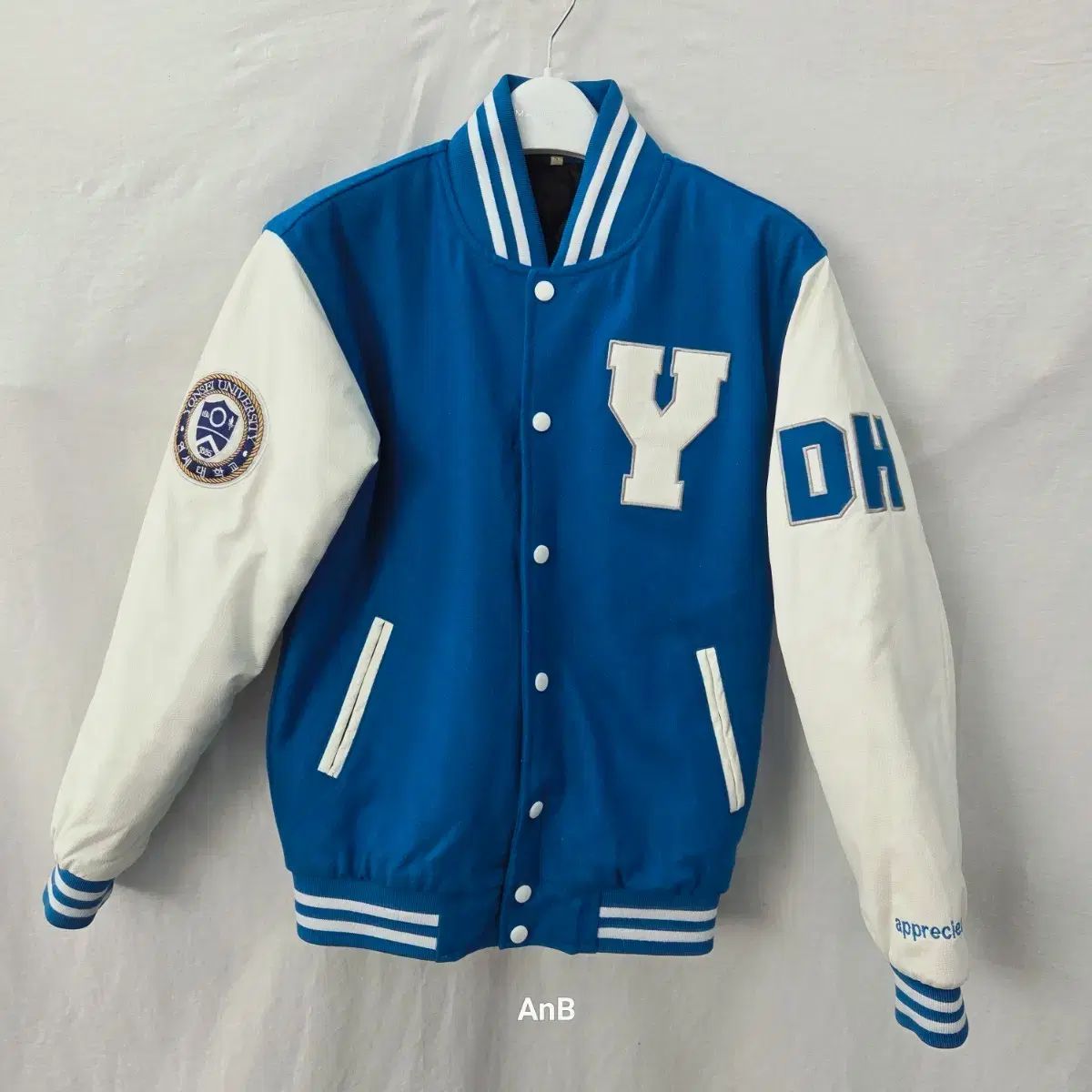 延世大学 学生広報大使 IN (イン) スタジャン/学ジャン (ブルー&白