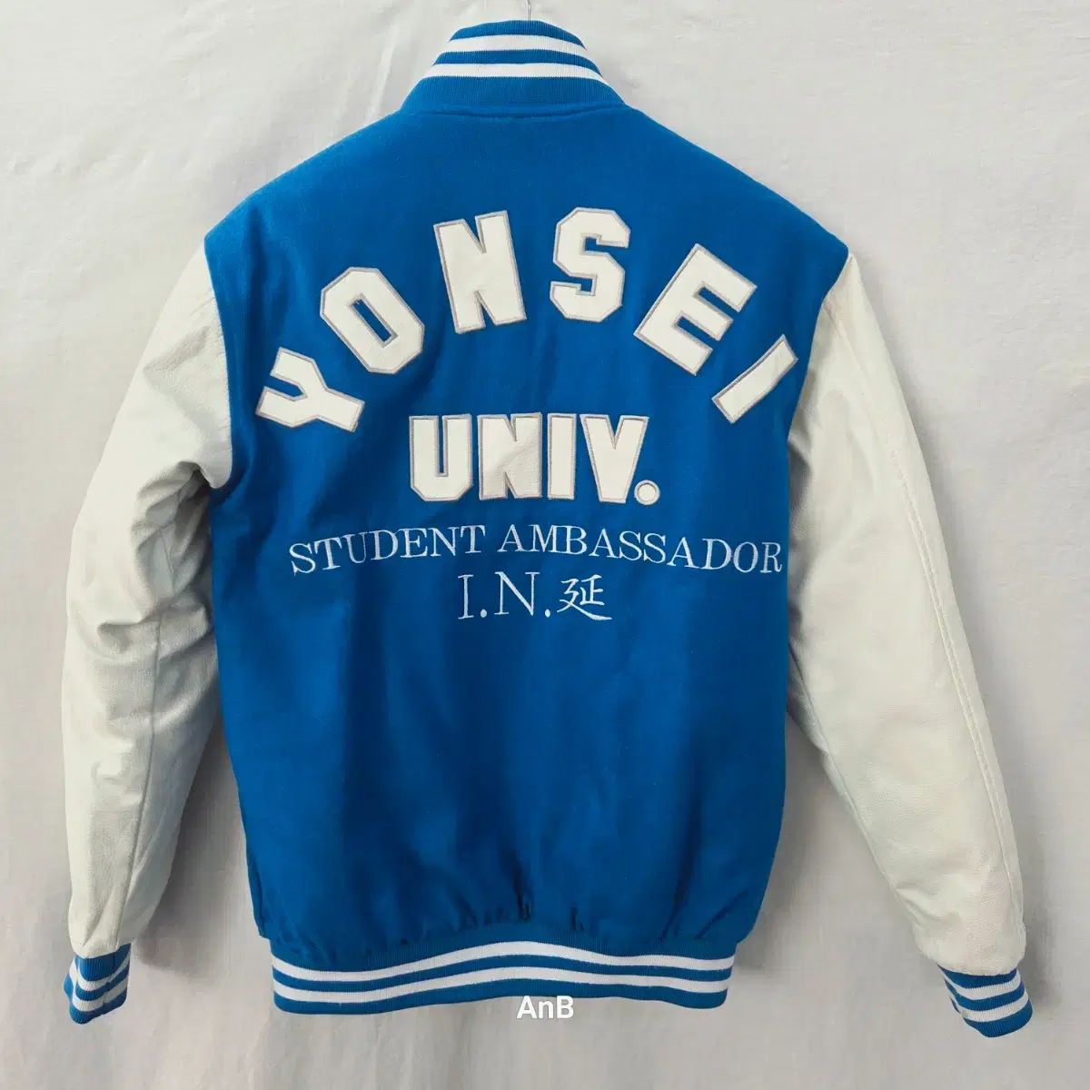 延世大学 学生広報大使 IN (イン) スタジャン/学ジャン (ブルー&白