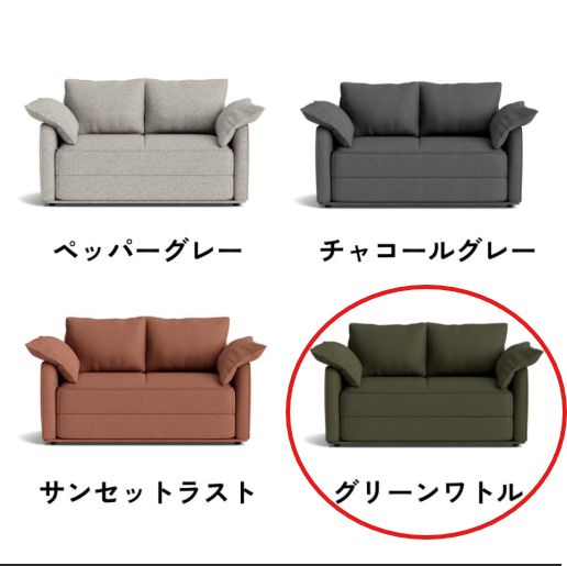 トライアルリユース品 【クイーン】 コアラソファーベッド CUSHY：『色