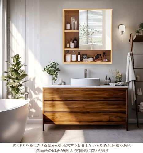 Wisfor ミラーキャビネット 壁掛け棚 扉付き 木製 吊り戸棚 洗面所 壁面収納 後付け 薄型 トイレ 北欧 高さ60 cm×50 cm 洗面鏡裏収納 可動式 コーナー 賃貸 f 19 a 9 bac