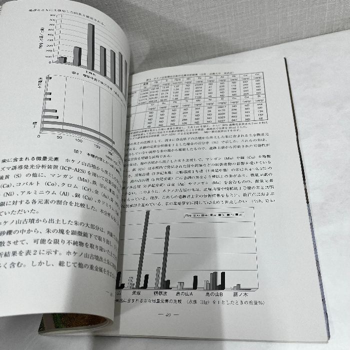 ホケノ山古墳 調査概報 大和の前期古墳 奈良県立橿原考古学研究所 2001