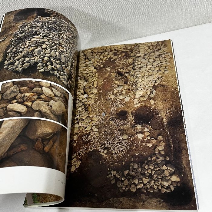 あ*ぱ様 ホケノ山古墳の研究 奈良県立橿原考古学研究所研究成果第10冊 あ*ぱ様 ホケノ山古墳の研究 奈良県立橿原考古学研究所研究成果第10冊