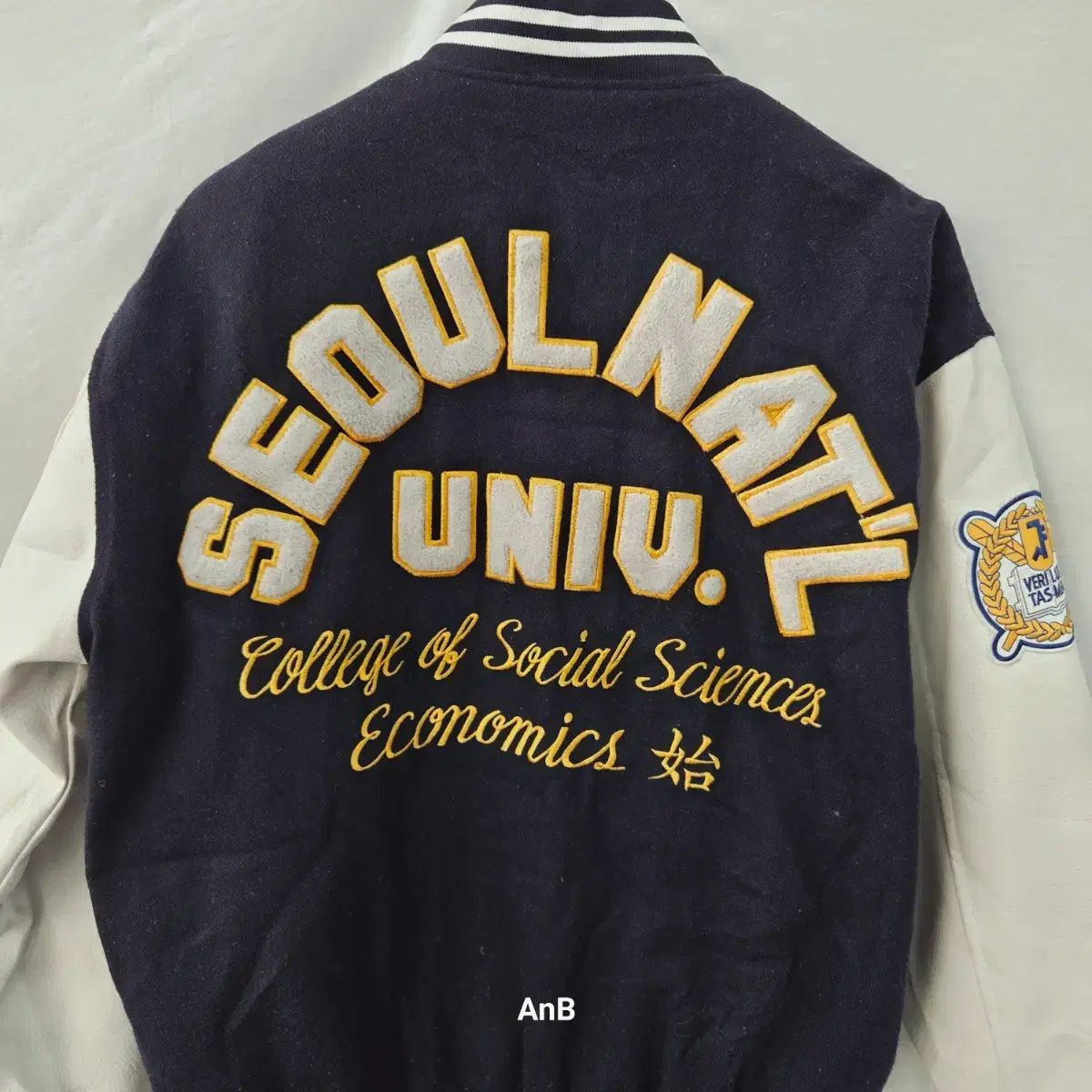 SEOUL ソウル大学 社会科学部 経済学科 スタジャン/学ジャン (ネイビー