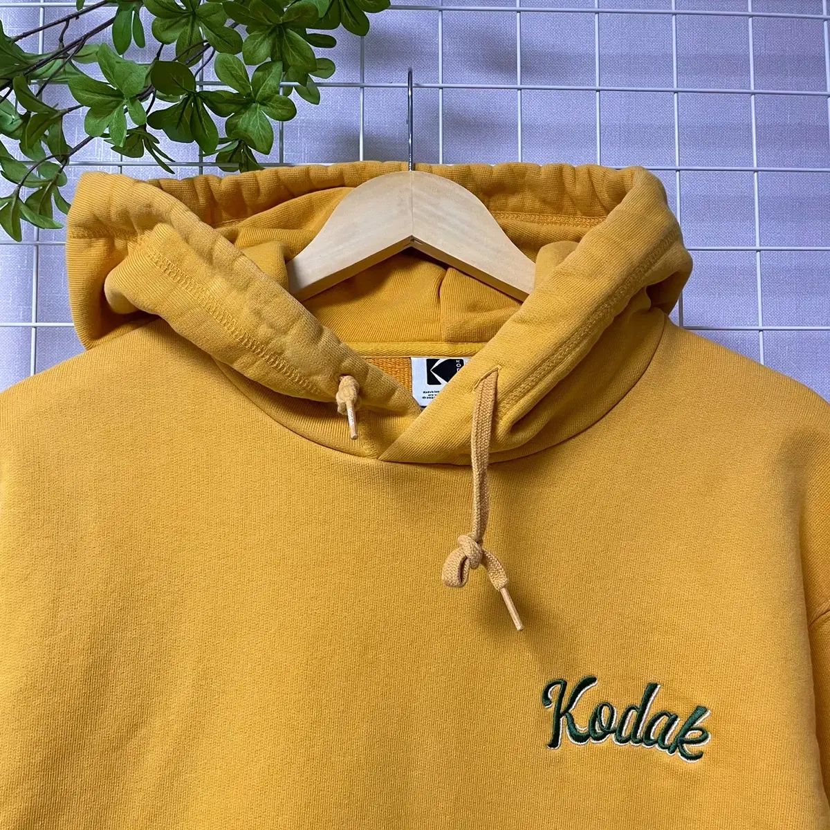 コダック フーディー Tシャツ マスタード WK-0369