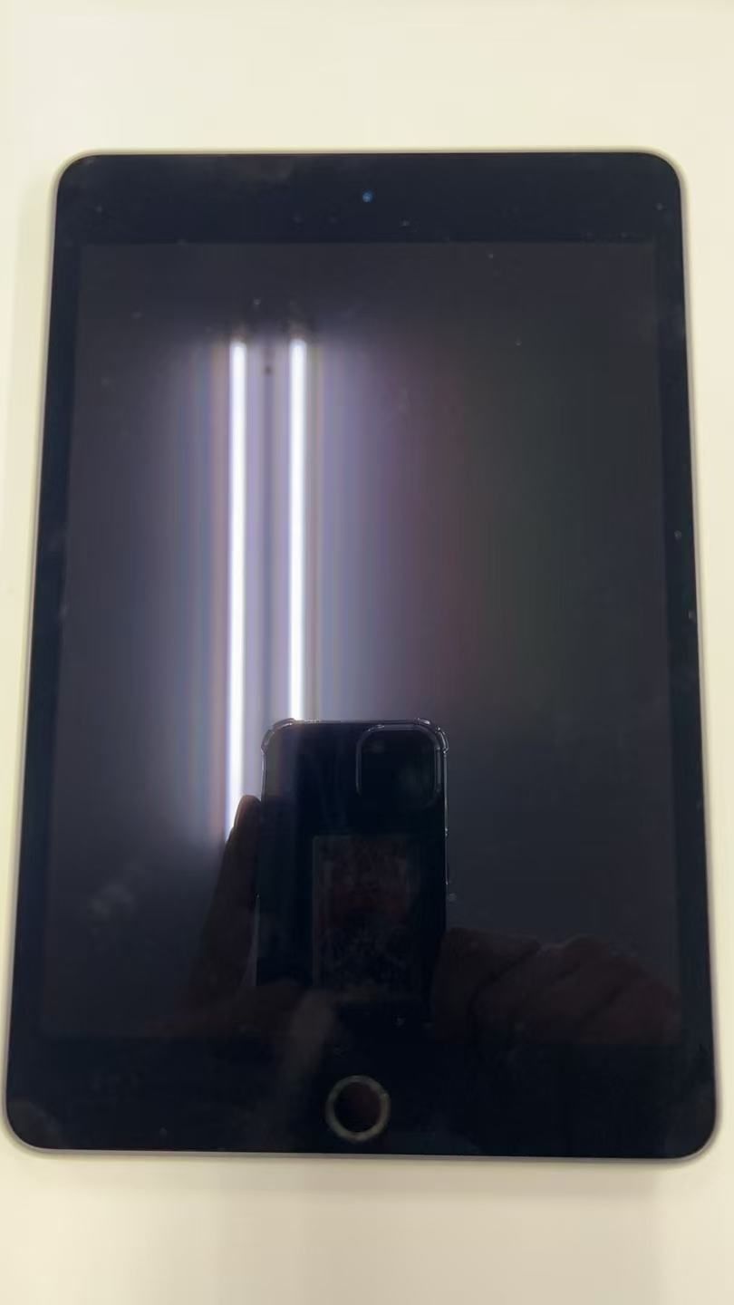 ジャンク品 iPad mini 5 Wi-Fi 64GB - スペースグレイ - メルカリ