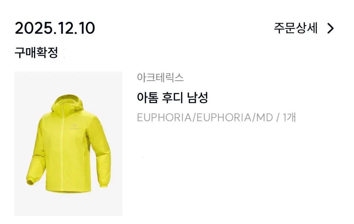 M アークテリクス アトム フーディ WHO UPOPHORIA