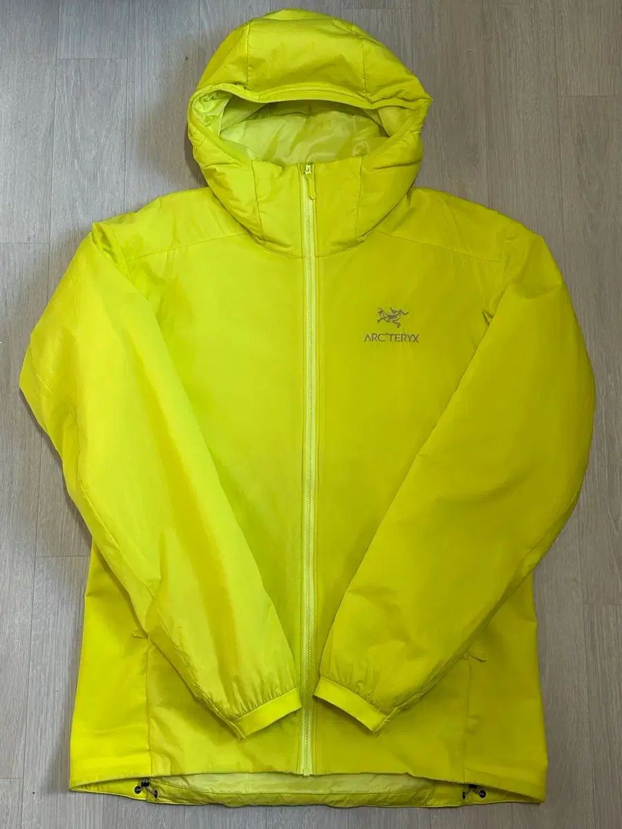 M アークテリクス アトム フーディ WHO UPOPHORIA