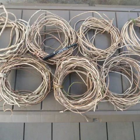 リース台 かご編みに 蔓 ツル 7束 アオツヅラフジ 2/2採取 - メルカリ