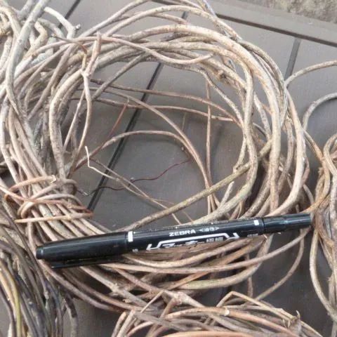 リース台 かご編みに 蔓 ツル 7束 アオツヅラフジ 2/2採取 - メルカリ