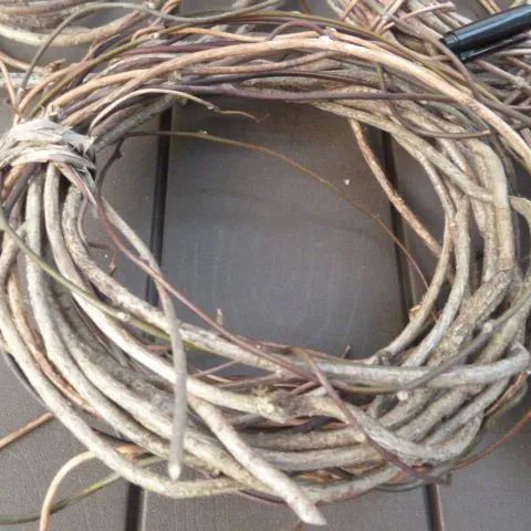 リース台 かご編みに 蔓 ツル 7束 アオツヅラフジ 2/2採取 - メルカリ