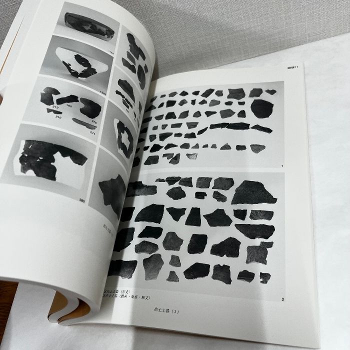 成田市荒海川表遺跡発掘調査報告書 2冊組 千葉県 - メルカリ