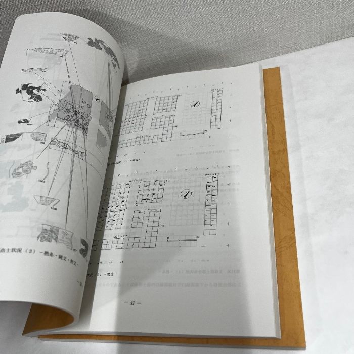 成田市荒海川表遺跡発掘調査報告書 2冊組 千葉県 - メルカリ