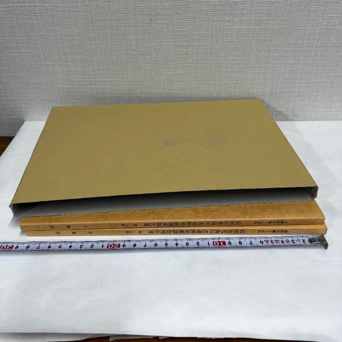 成田市荒海川表遺跡発掘調査報告書 2冊組 千葉県 - メルカリ