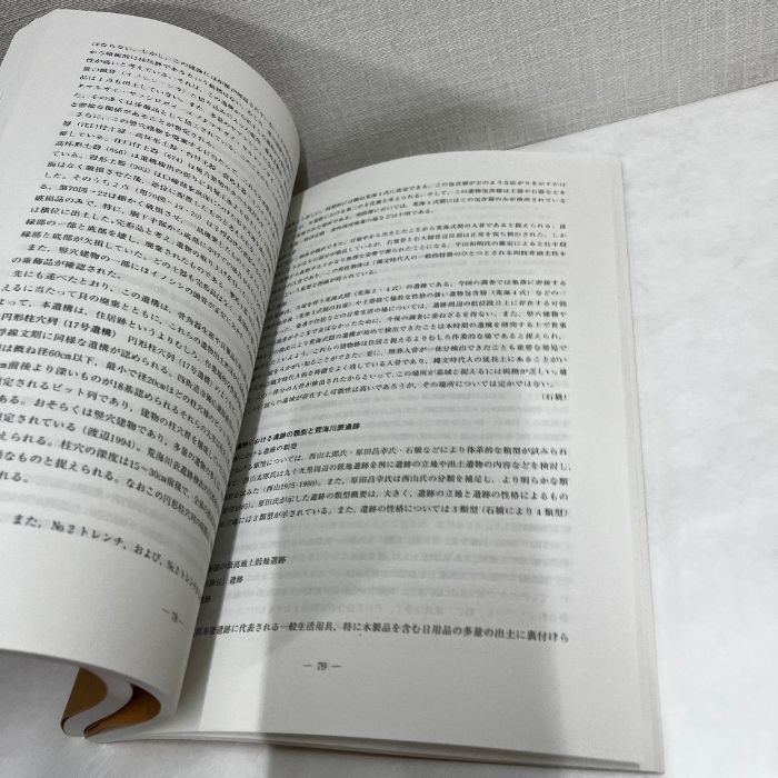 成田市荒海川表遺跡発掘調査報告書 2冊組 千葉県 - メルカリ
