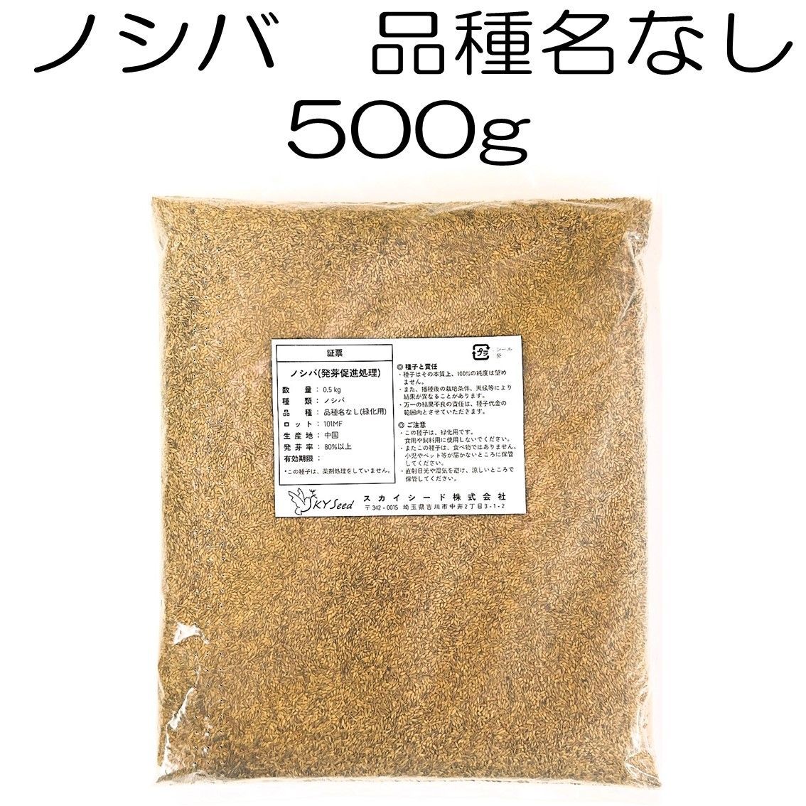 ノシバ種子（発芽促進処理済み）品種名なし 500g （中国産）スカイシード株式会社　野芝　種