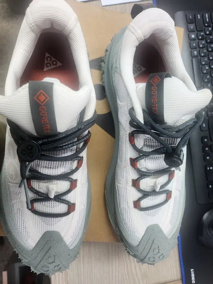 ナイキ ACG マウンテン フライ 2 ロー GTX