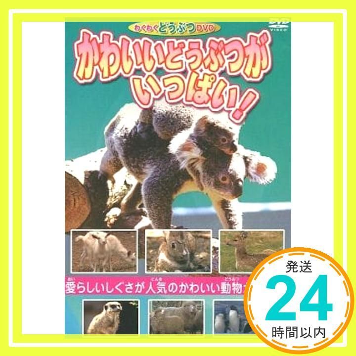 かわいいどうぶつがいっぱい _02