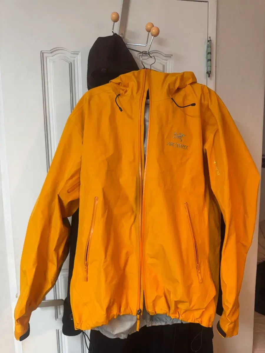 アークテリクス ベータ