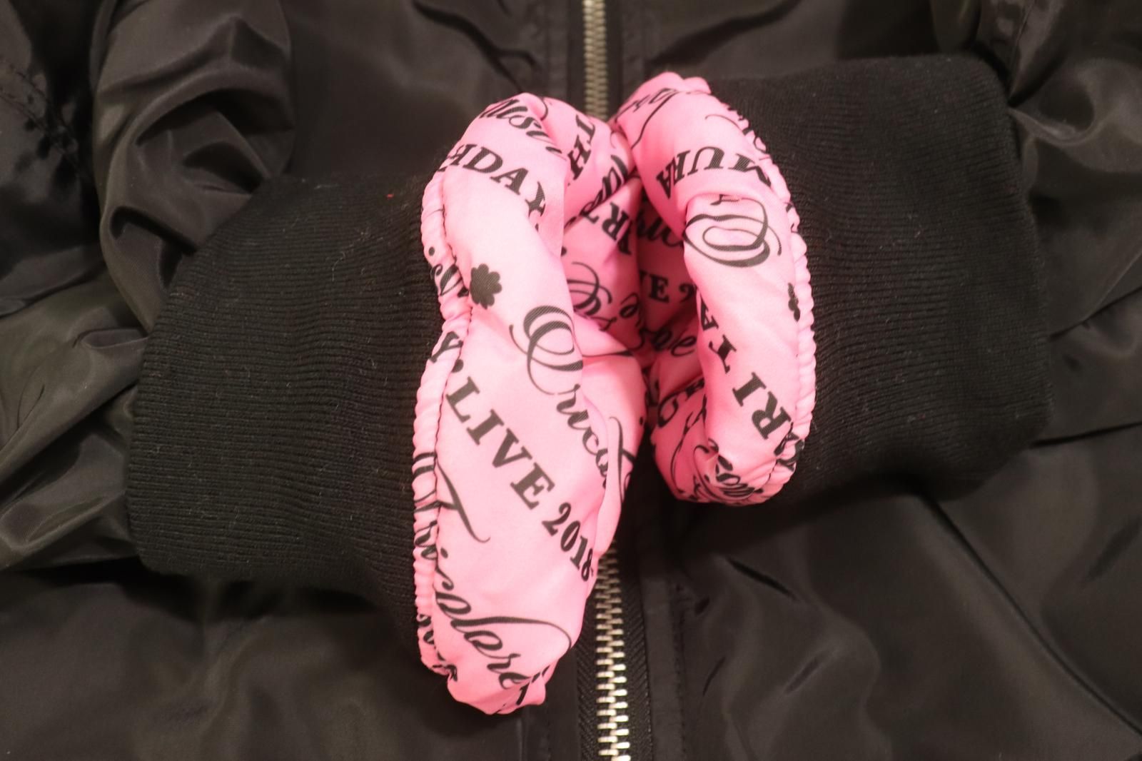 中古】 ブランド不明 メンズブルゾン L 田村ゆかり BIRTHDAY LIVE 2018