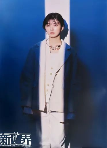 中古】ポスター B2ポスター 藤吉夏鈴 「櫻坂46展『新せ界』」 - メルカリ