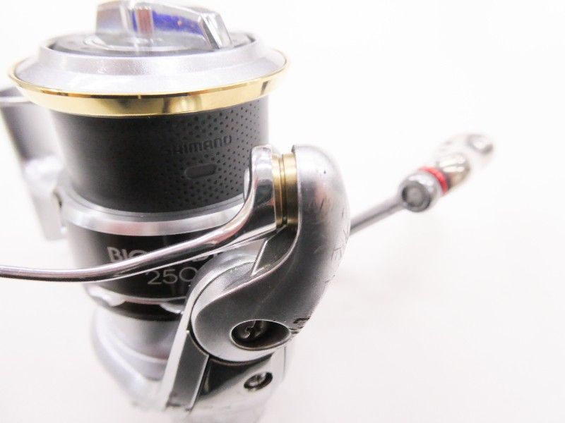 11バイオマスター