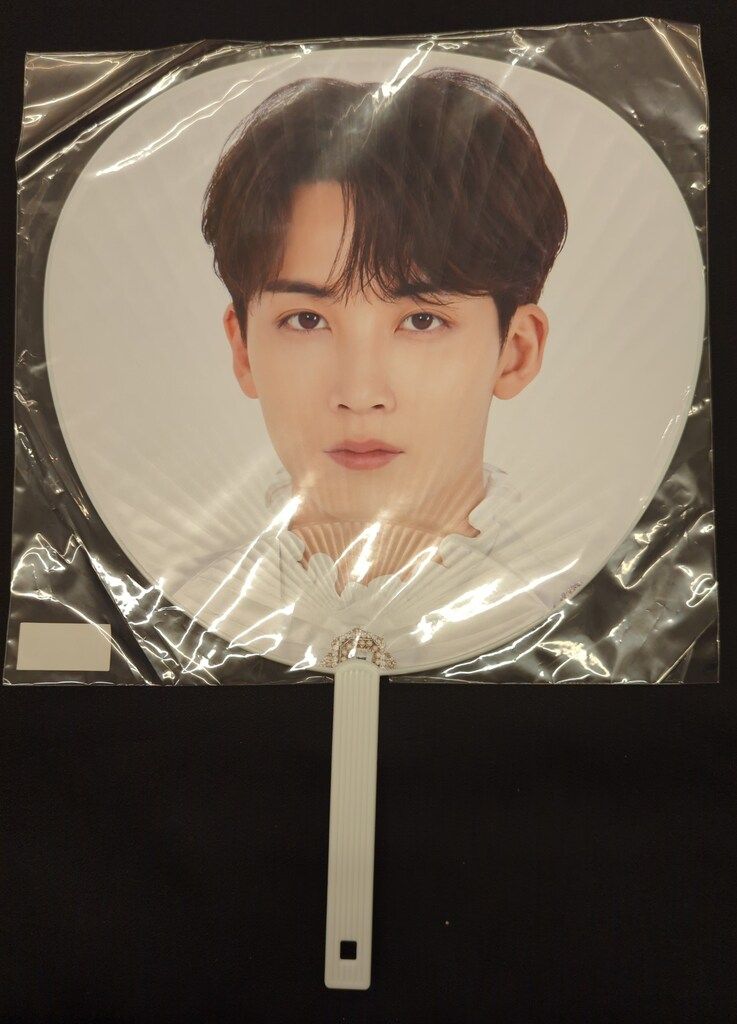 SEVENTEEN 2020JAPAN DOME TOUR JEONGHAN うちわ A - メルカリ