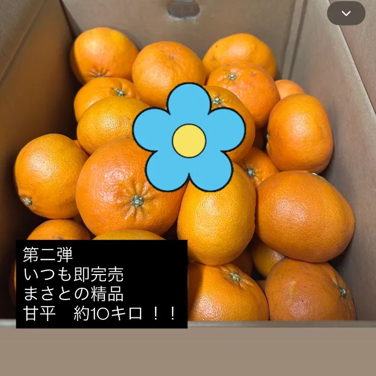 新品】甘平 10kg L-4L 農家直送 - メルカリ