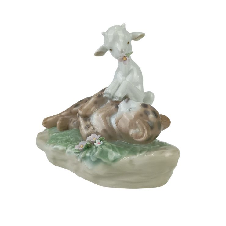 マルチカラー ポーセリン