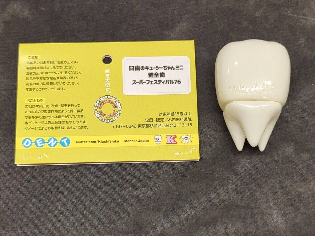 木内歯科医院 臼歯のキューシーちゃん健全歯 ミニ 木内歯科医院 2026年最新