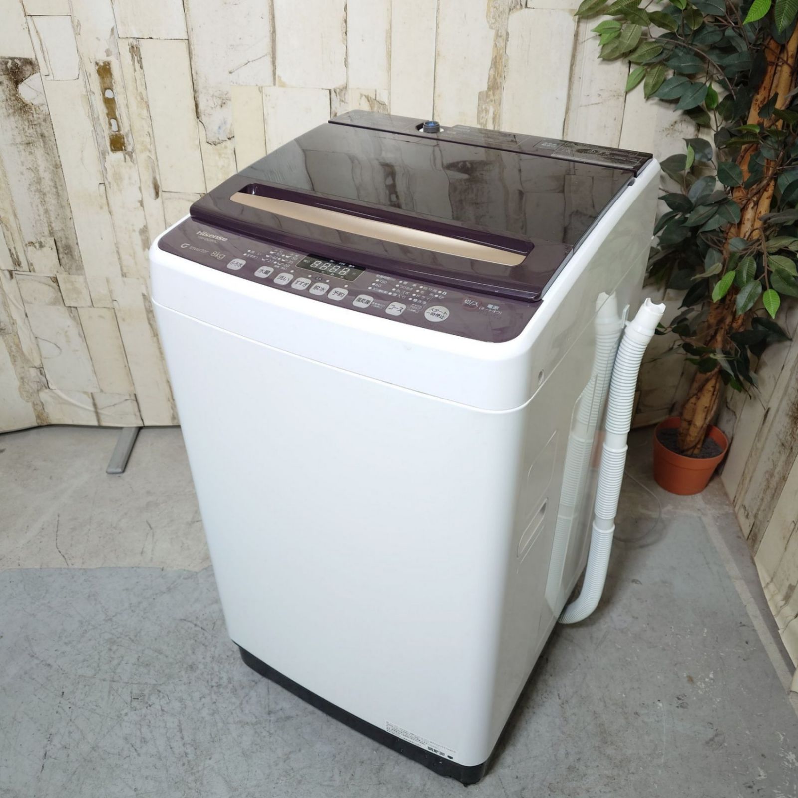 2024年製】 極美品 洗濯機 家電 Hisense ハイセンス HW-DG80C 8kg