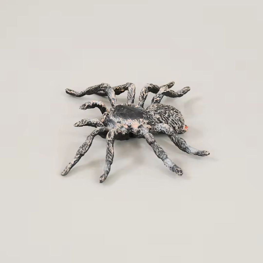 ハロウィン装飾 リアルスパイダー 置物 蜘蛛 1個 玩具 クモ スパイダー
