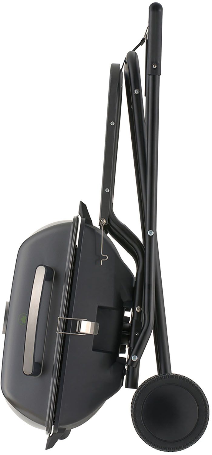 エレキャン エレグリル