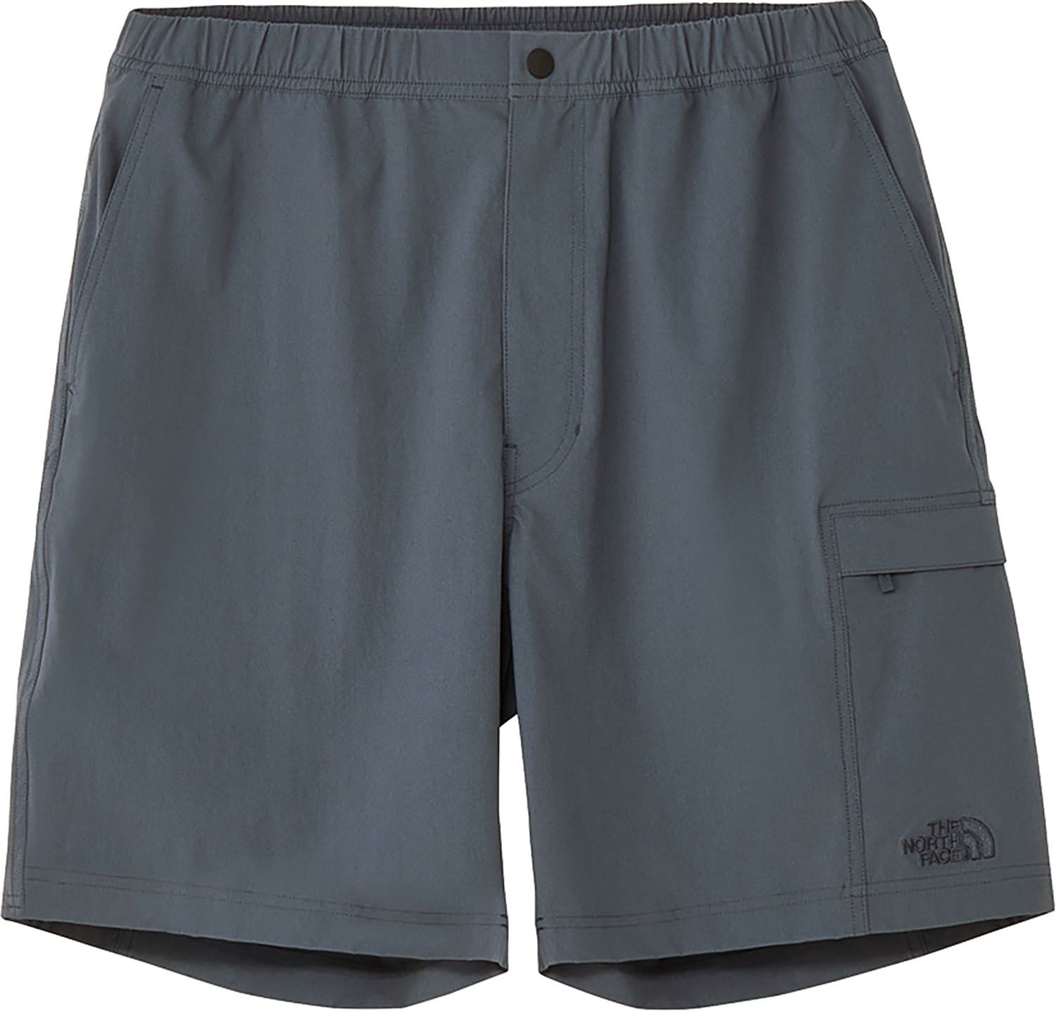 ザ ノース フェイス THE NORTH FACE アウトドア マウンテンカラーショーツ COLOR ST メンズ ハーフパンツ ボトムス ソフト 登山 トレッキング ハイキング ショートパンツ イージー NB 42501 SL スレートG