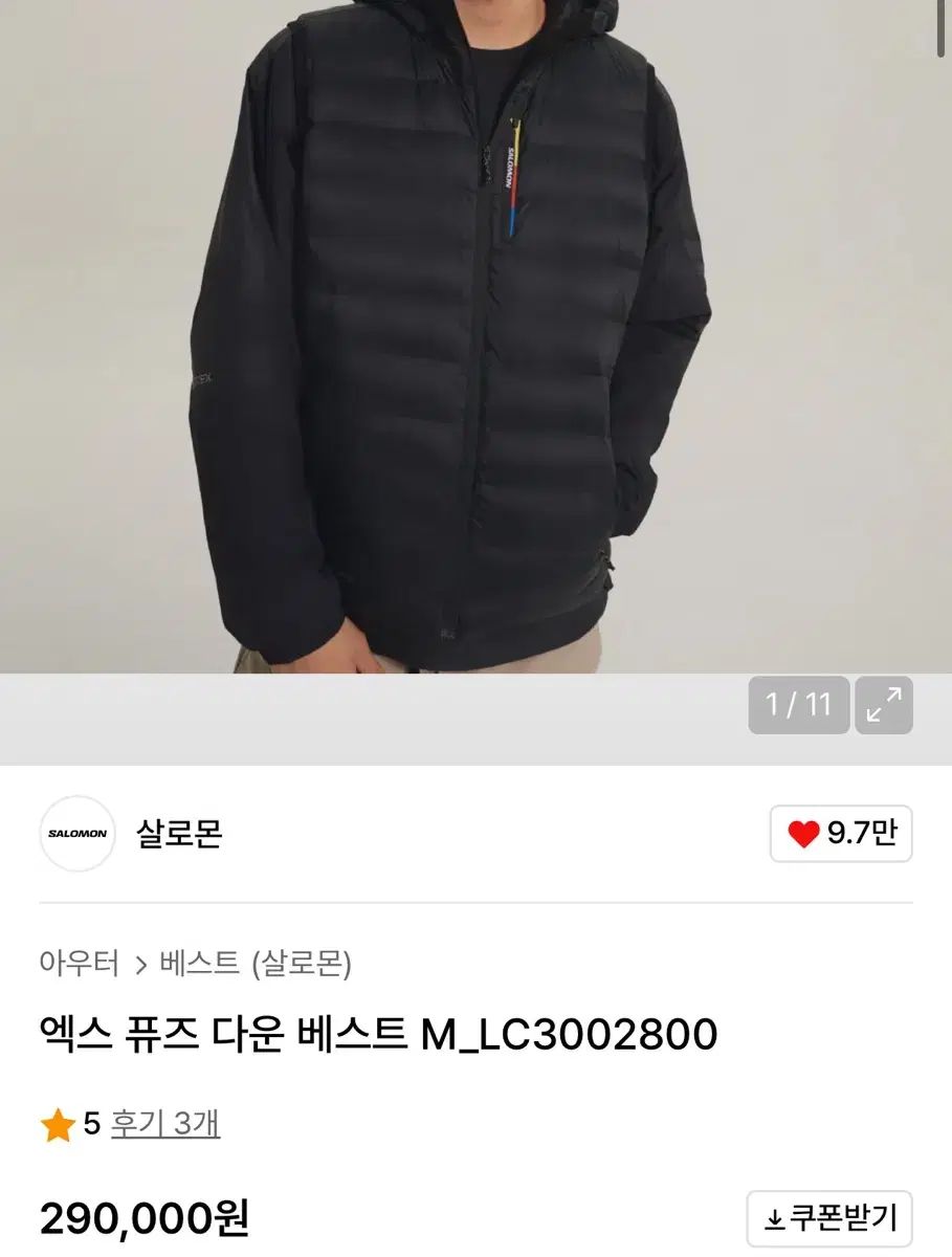 SALOMON（サロモン） エクス（X） 퓨즈（Fuse） ダウン BEST（ベスト