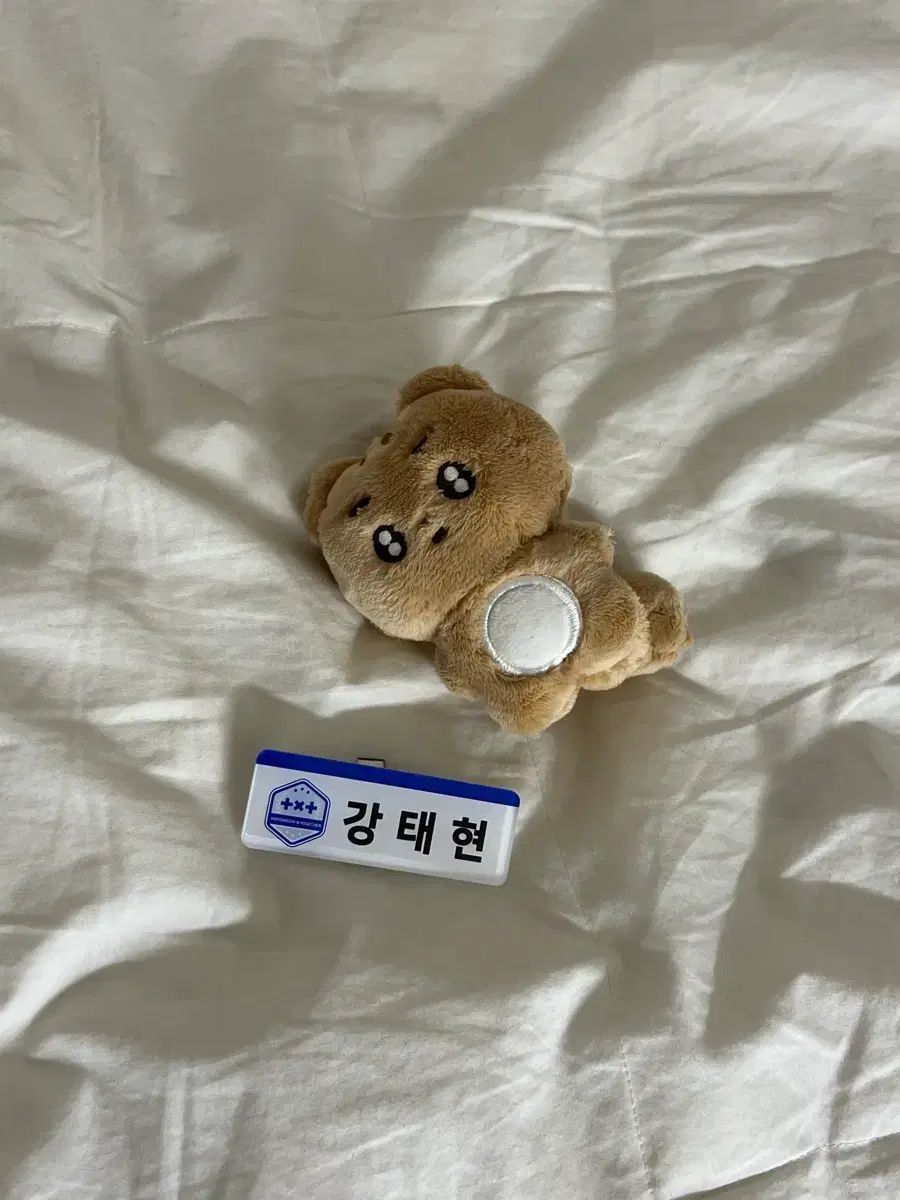 TOMORROW X TOGETHER(TXT) ぬいぐるみ ポバトゥ ポバトゥ テヒョン +