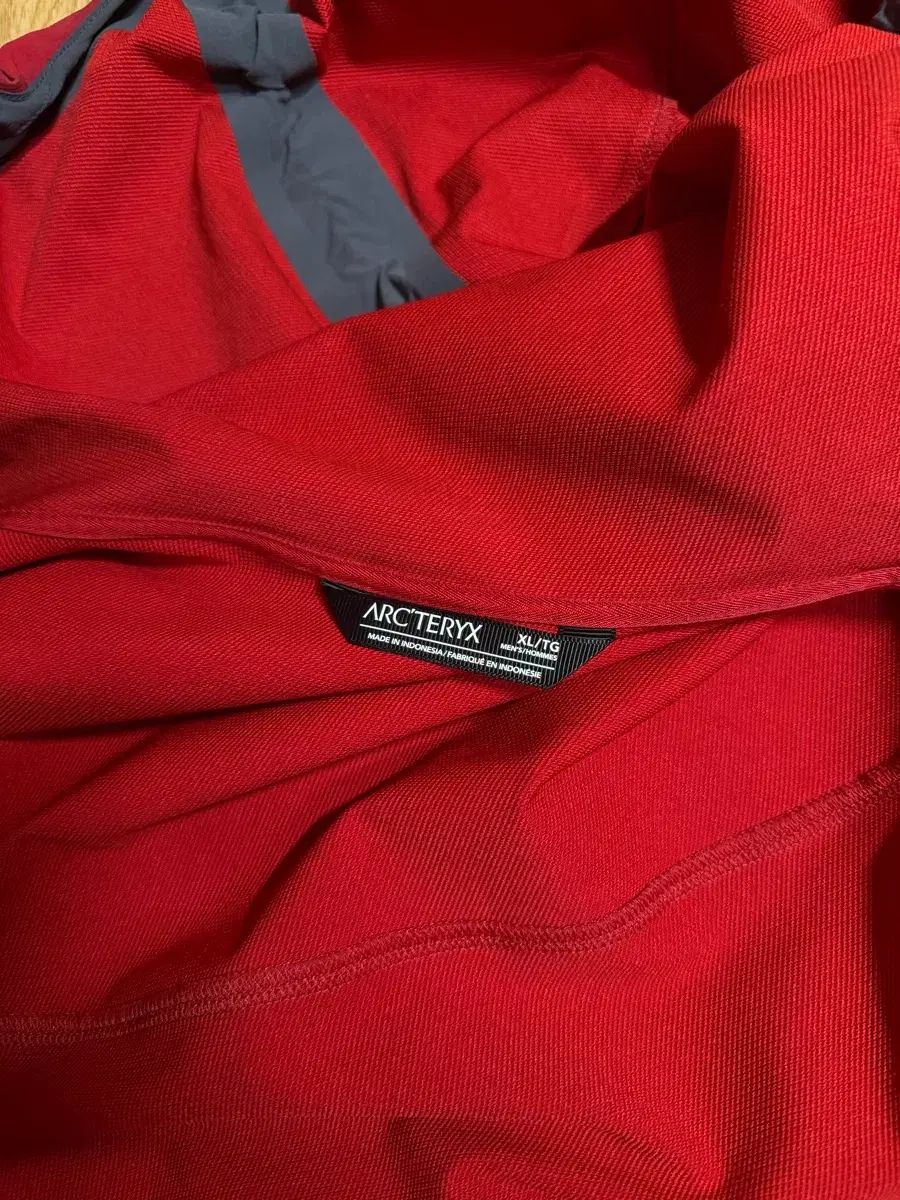 アークテリクス GAMMAフーディー