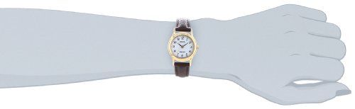 レグノ ソーラーテック