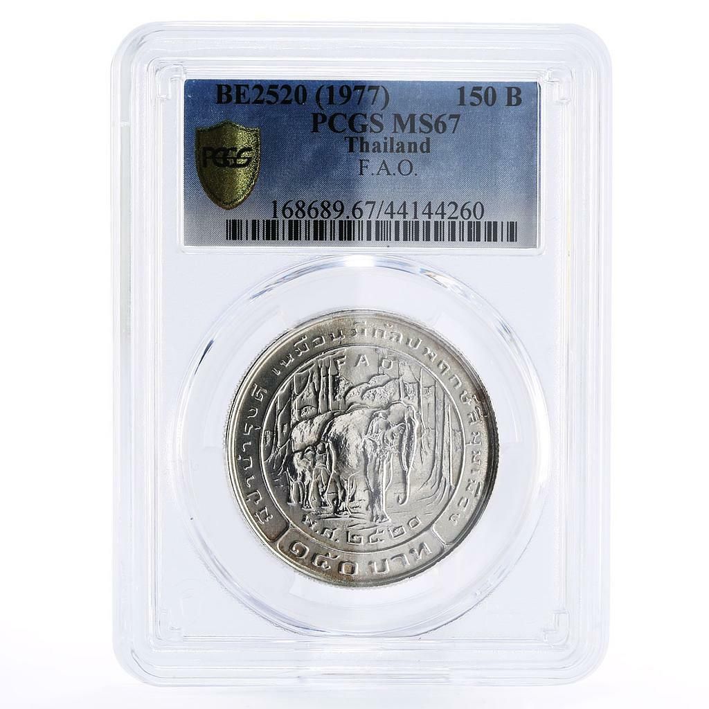 タイ 150バーツ FAO 象動物図 MS67 PCGS 銀貨 1977年 - メルカリ