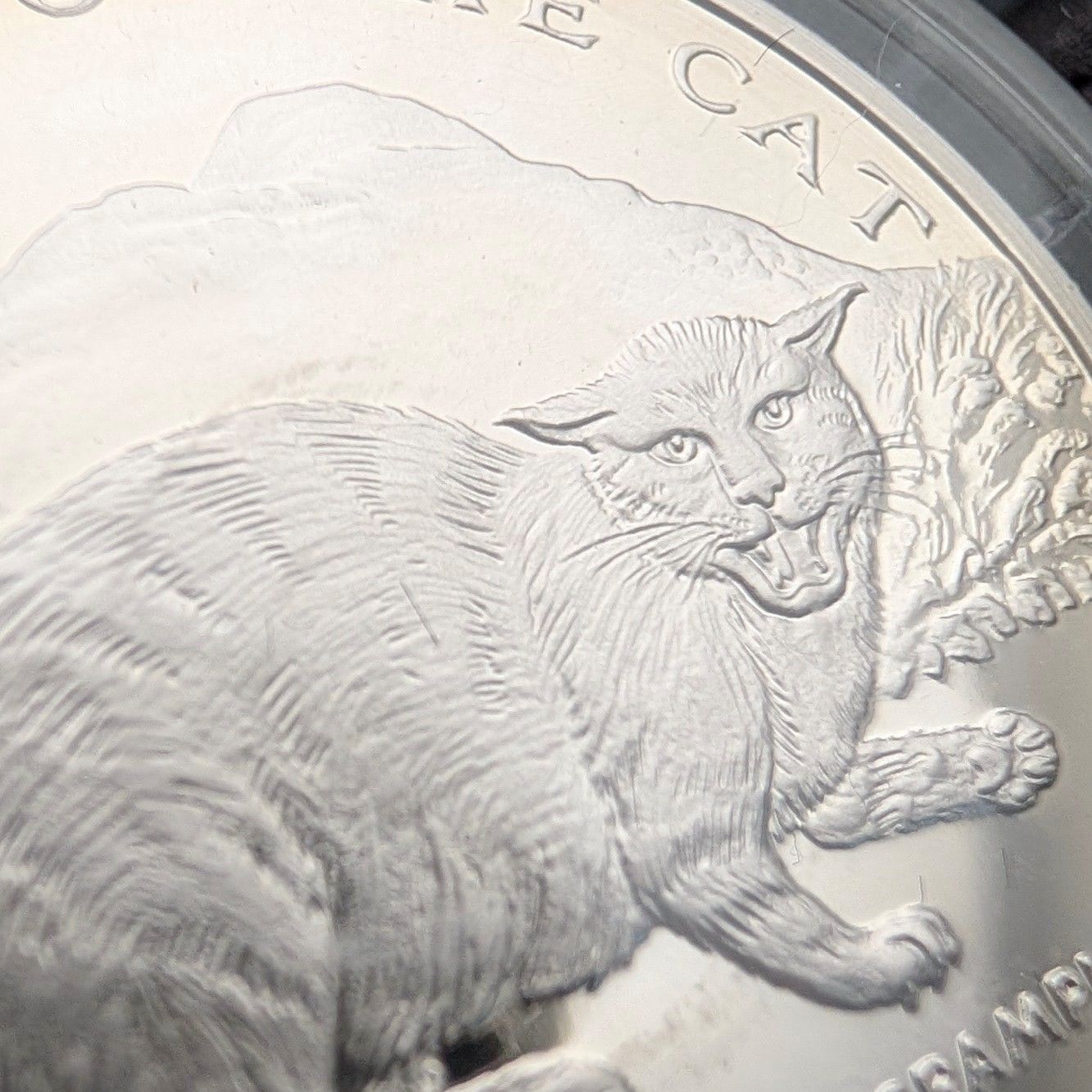 英国マン島 クラウン銀貨 猫の​歴史シリーズ：4枚セット PobjoyMint