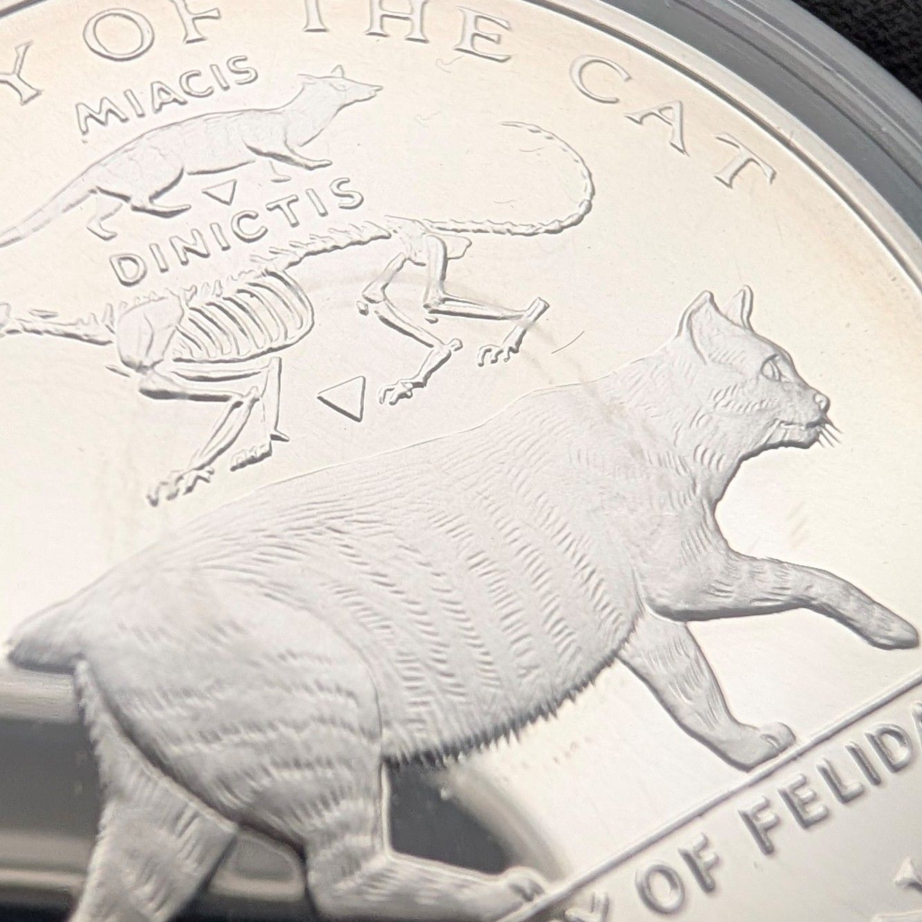 ponpon332 1988年発行 マン島 猫 クラウン5枚セット JCC | ジャパン