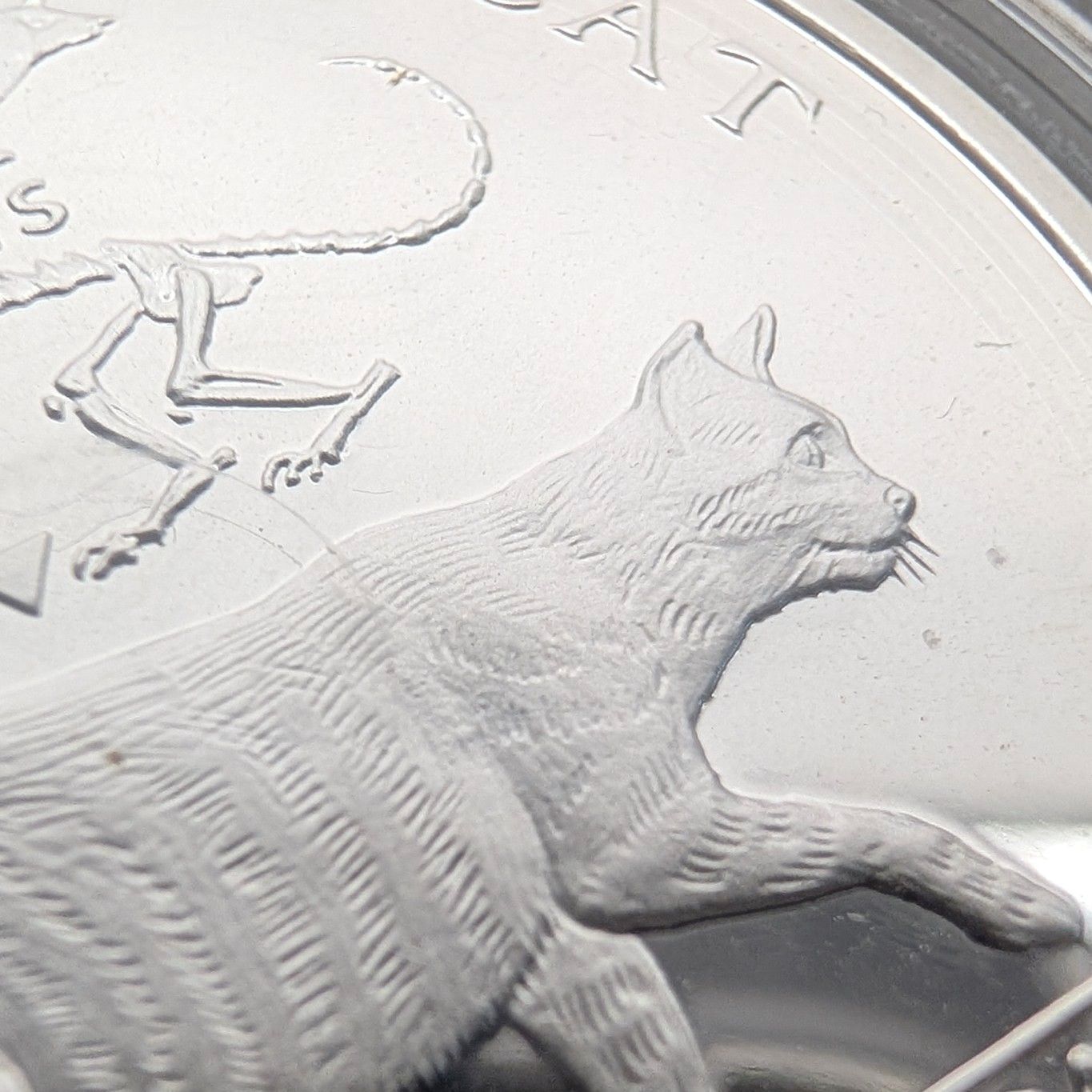 英国マン島 クラウン銀貨 ​「猫の​歴史：ミアキス・ディニクティス