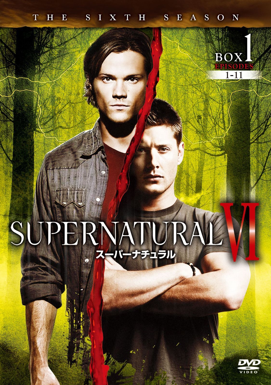 SUPERNATURAL | スーパーナチュラル シックス シーズン コンプリート ボックス DVD ジャレッド パダレッキ ジェンセン アクレス ミシャ コリンズ
