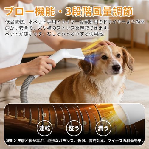 超強力吸引 温風＆送風