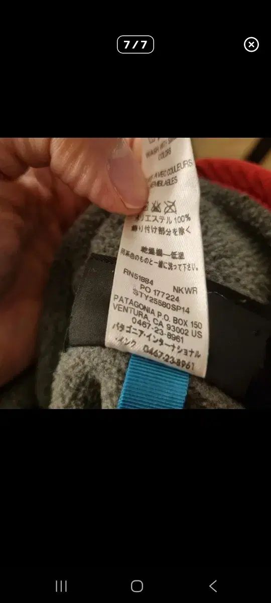 シンチラ グレー