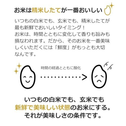  迅速に発送 山本電気 精米機 MICHIBA ライスクリーナー MB-RC 52 ライスストッカー付きセット ホワイト c 4 bd 83 e 3 その他 キッチン 食器