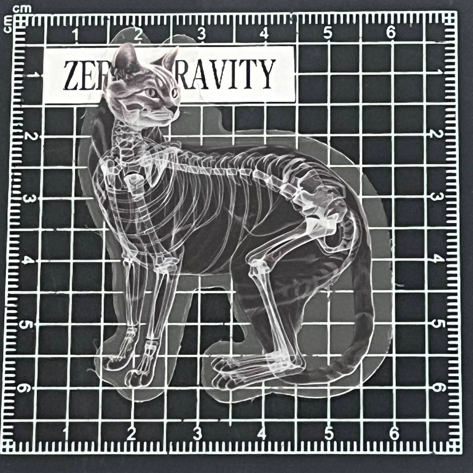 L402 スケルトン・骨格アニマル防水ステッカー ZEROGRAVITY - メルカリ